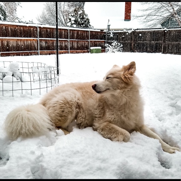 Meet your Posher, Rachel - Picture 2 of 3